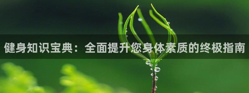 qy千亿体育登录平台首页