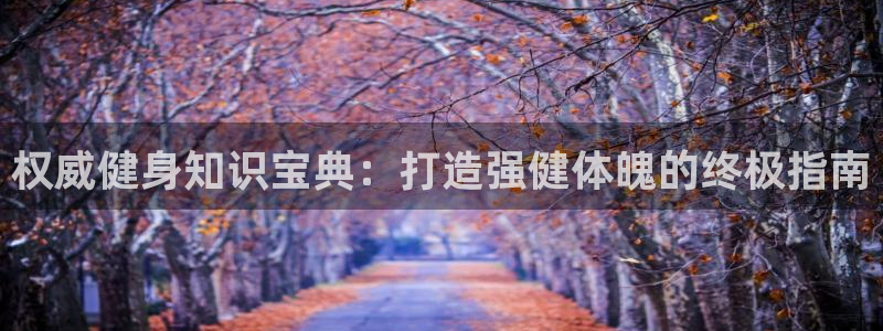 QY球友会体育官方平台